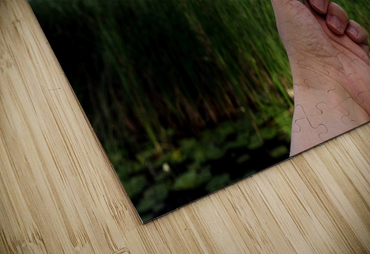 Gift to the Sky Click4Pix Puzzle