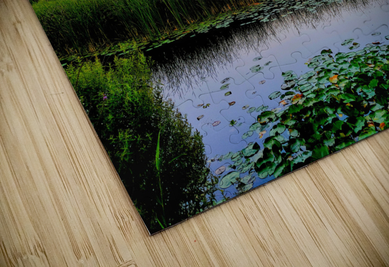 Drift Into the Blue Click4Pix Puzzle