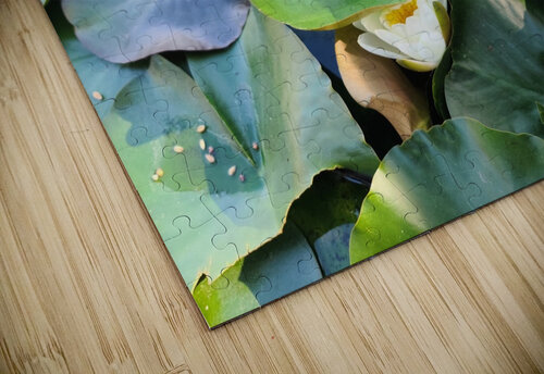 The Secret Life of Lilies Click4Pix puzzle