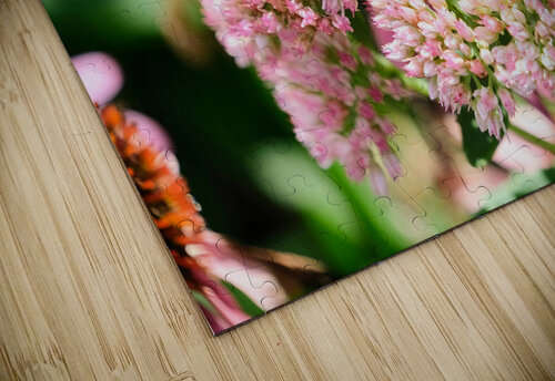  Sedum and the Messenger of Life Click4Pix puzzle