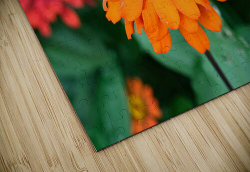 Orange You Royale King Zinnia Click4Pix puzzle