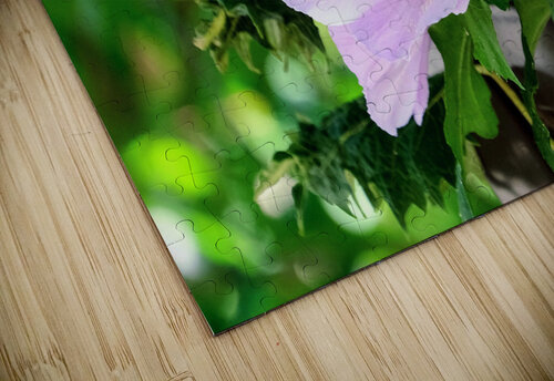 Bee Drowning in Pollen  Click4Pix puzzle