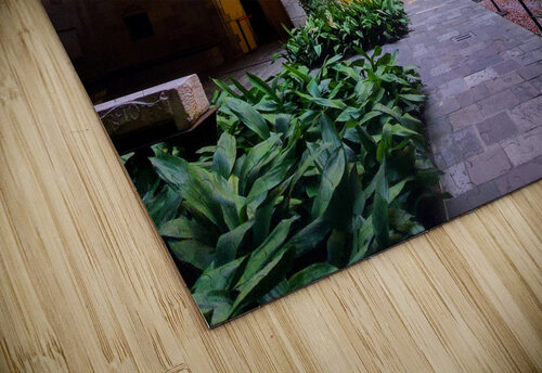  Solitude in Sunlight Click4Pix puzzle