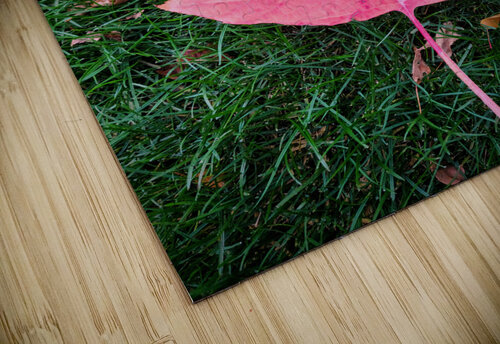 Leaf Me on the Grass Click4Pix puzzle