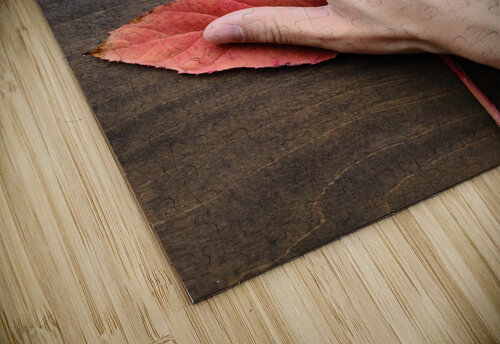 Holding Onto Fall: Nature’s High Five Click4Pix puzzle