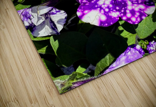 Starlight in Bloom Click4Pix puzzle