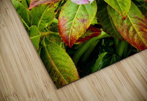 Floravox: The Soft-Spoken Twins Click4Pix puzzle