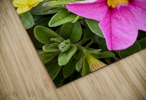 Bold Petals Quiet Strength Click4Pix puzzle