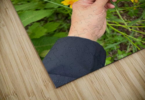 The Wild Stillness Between Wishes Click4Pix puzzle