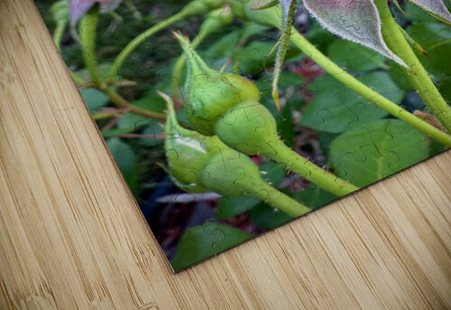 Velvet Guard of the Gardens Heart Click4Pix puzzle