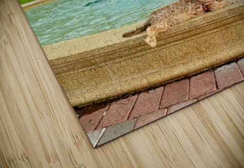 Lazy Days by the Fountain Click4Pix puzzle