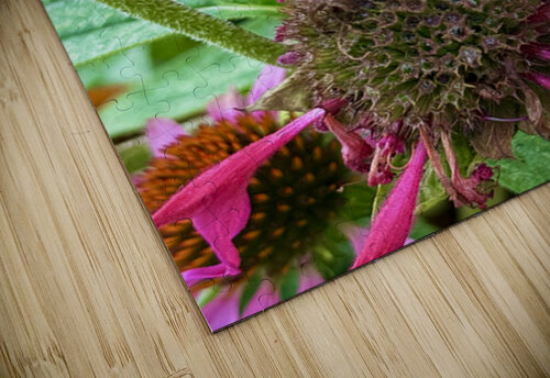 Fading Glory Last Harvest Click4Pix puzzle