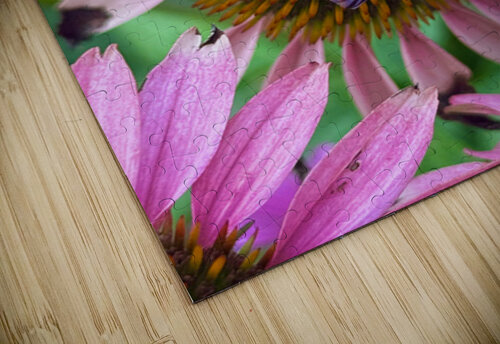 The Heart of Nature Click4Pix puzzle