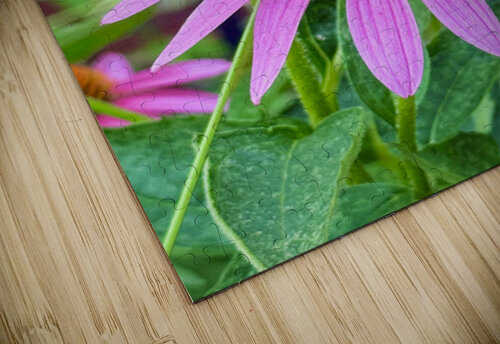 Floral Landing Click4Pix puzzle