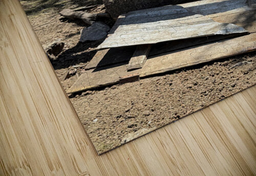 IMG 9517 Click4Pix puzzle