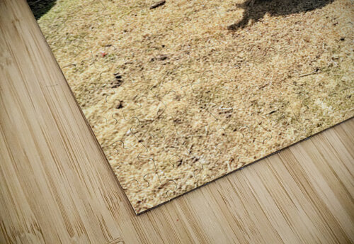 IMG 9621 Click4Pix puzzle