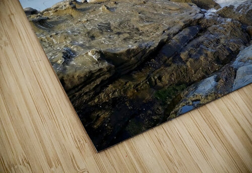 Seal Meditation 2B Click4Pix puzzle