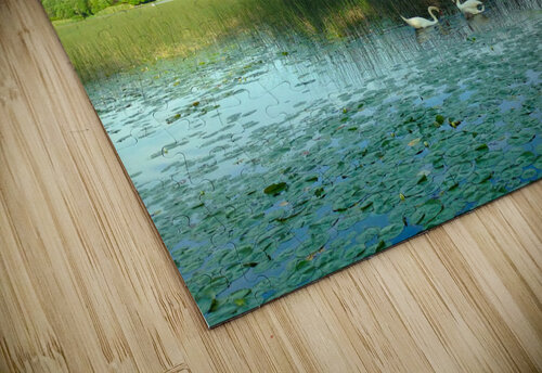 MI Swan Lake 2 Click4Pix puzzle