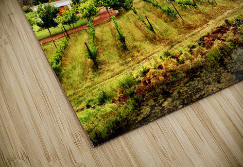 Vineyard in South Africa Click4Pix puzzle