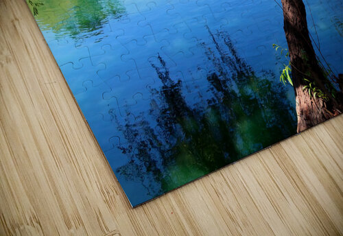 Pond Do  Click4Pix puzzle