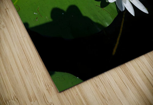 Blooms of Joy 2 Click4Pix puzzle