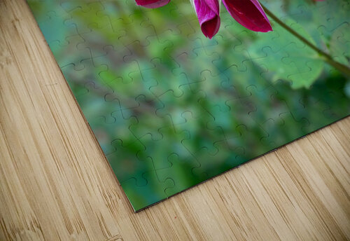 Flower Bloom 5B Click4Pix puzzle