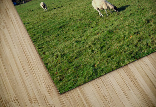 Grazing Fields of Avebury Henge and Stone Circles  Click4Pix puzzle