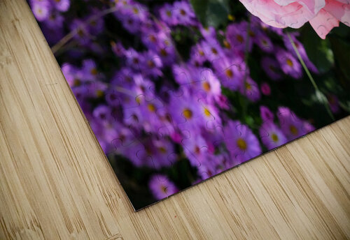 Flower Bloom 6 Click4Pix puzzle