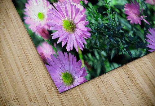 Pink Daisies 2C Click4Pix puzzle