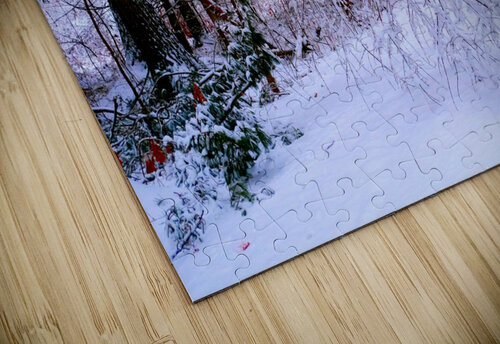 Bowing to Winter Click4Pix puzzle