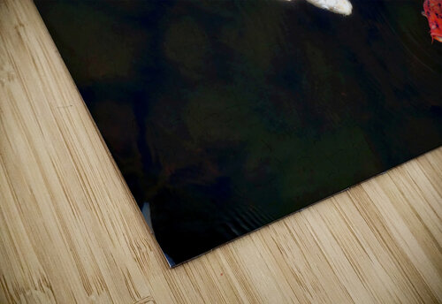 Some Very Coy Koi Click4Pix puzzle