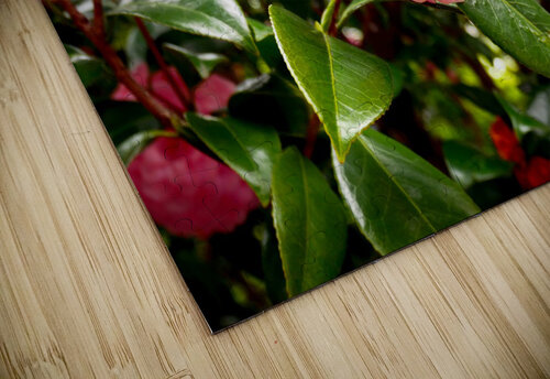 Blooms of Joy 1 Click4Pix puzzle