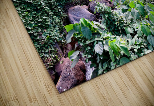 Hiking Hawaii 3 Click4Pix puzzle