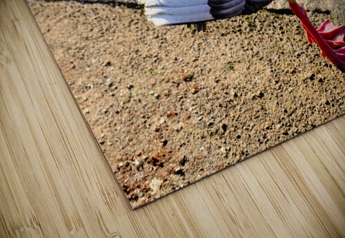 Headless Duck Click4Pix puzzle