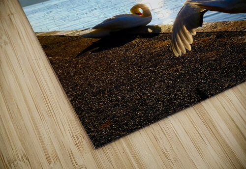 Swan Yoga Morning Stretch 2 Click4Pix puzzle