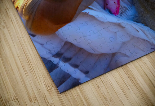 Got My Eye On You Duck Click4Pix puzzle