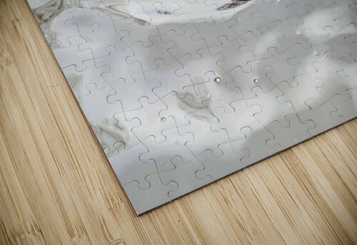 Only The Lonely Loon Click4Pix puzzle