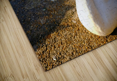 Lake’s Guardian Click4Pix puzzle