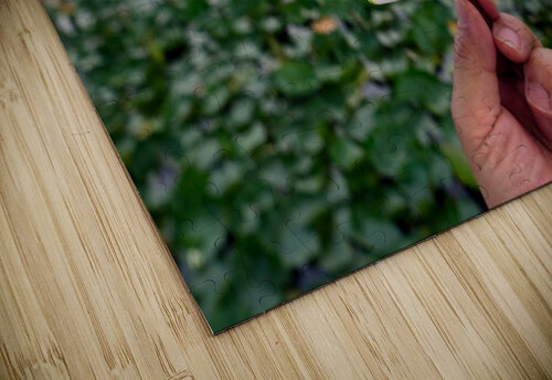 Lifting Beauty Click4Pix puzzle