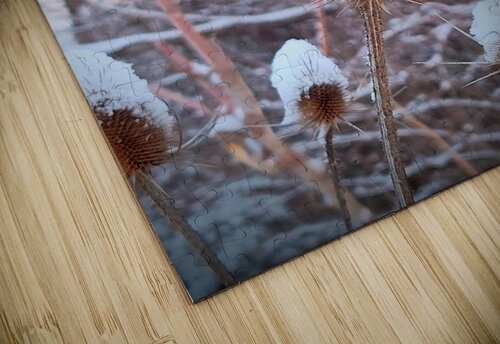 Frozen Lollipop Thistle Click4Pix puzzle