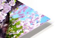 Cherry Blossom 3B HD Metal print