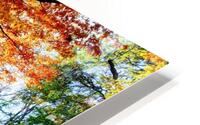 Autumn Radiance HD Metal print