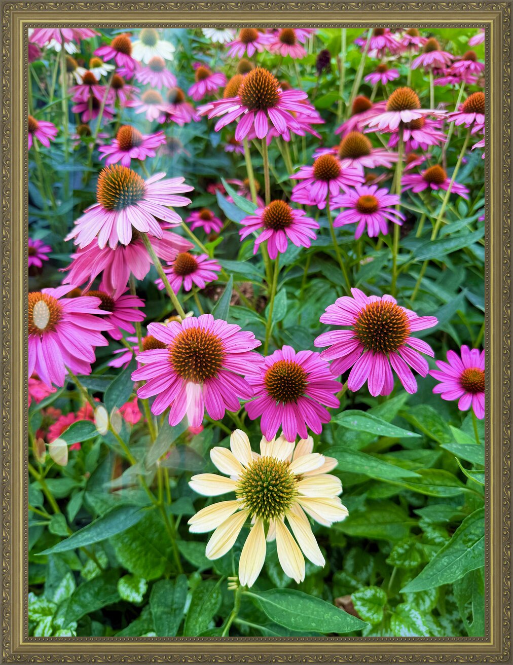 Impression de cadre personnalisé