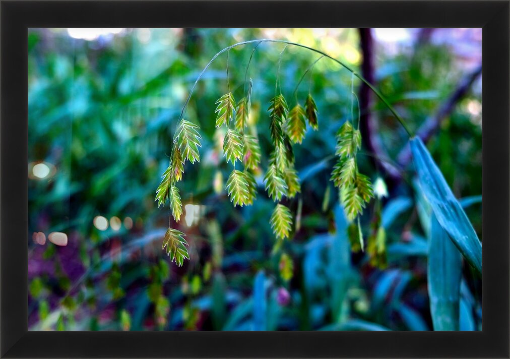 Impression de cadre personnalisé