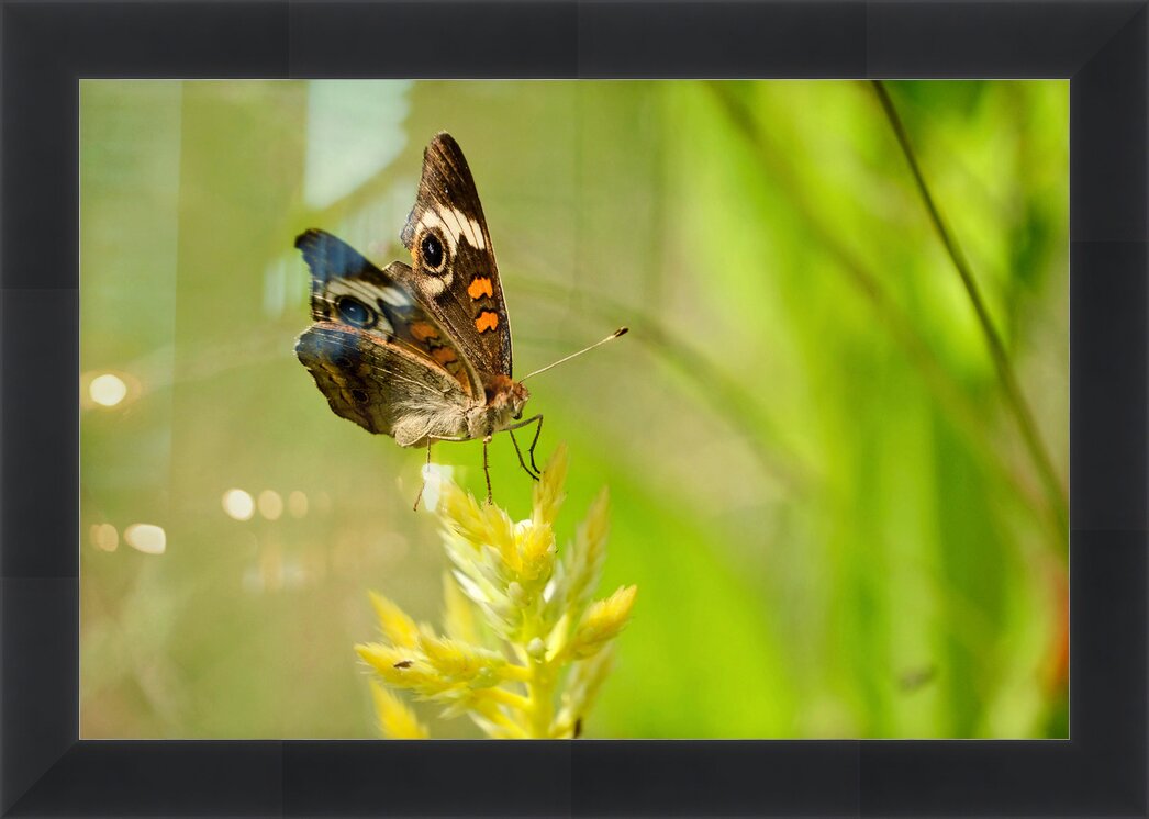 Impression de cadre personnalisé