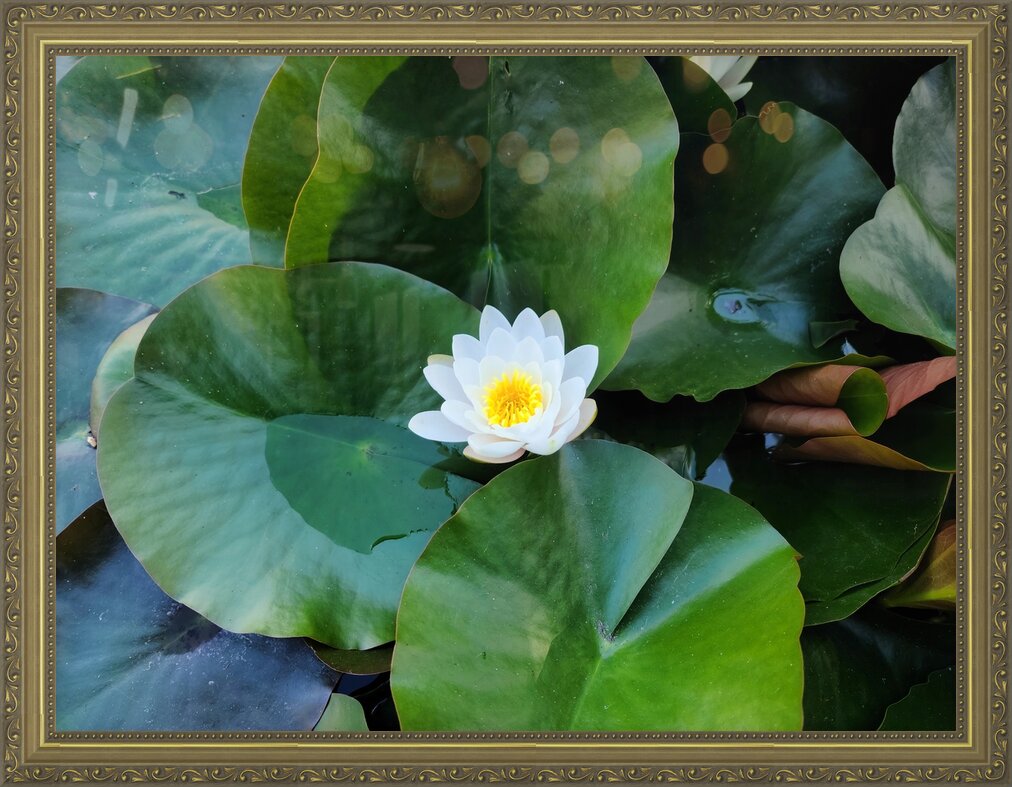 Impression de cadre personnalisé