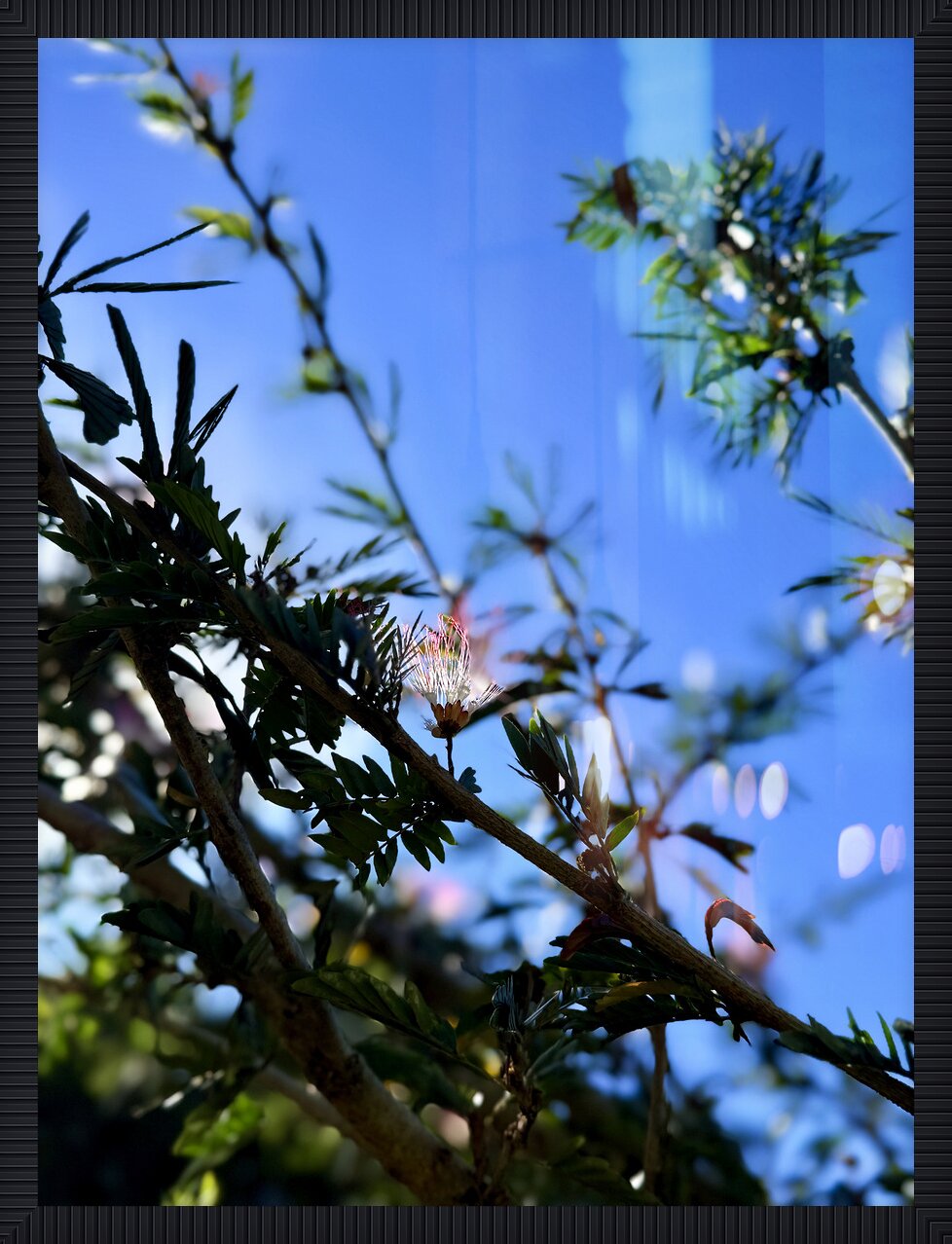 Impression de cadre personnalisé