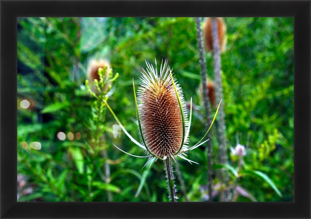 Impression de cadre personnalisé