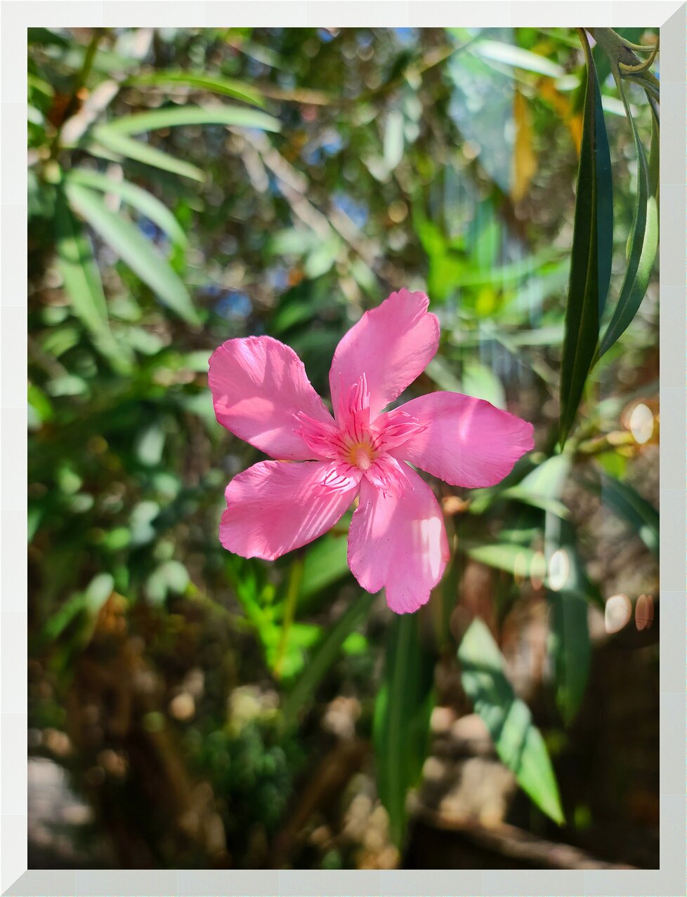 Impression de cadre personnalisé