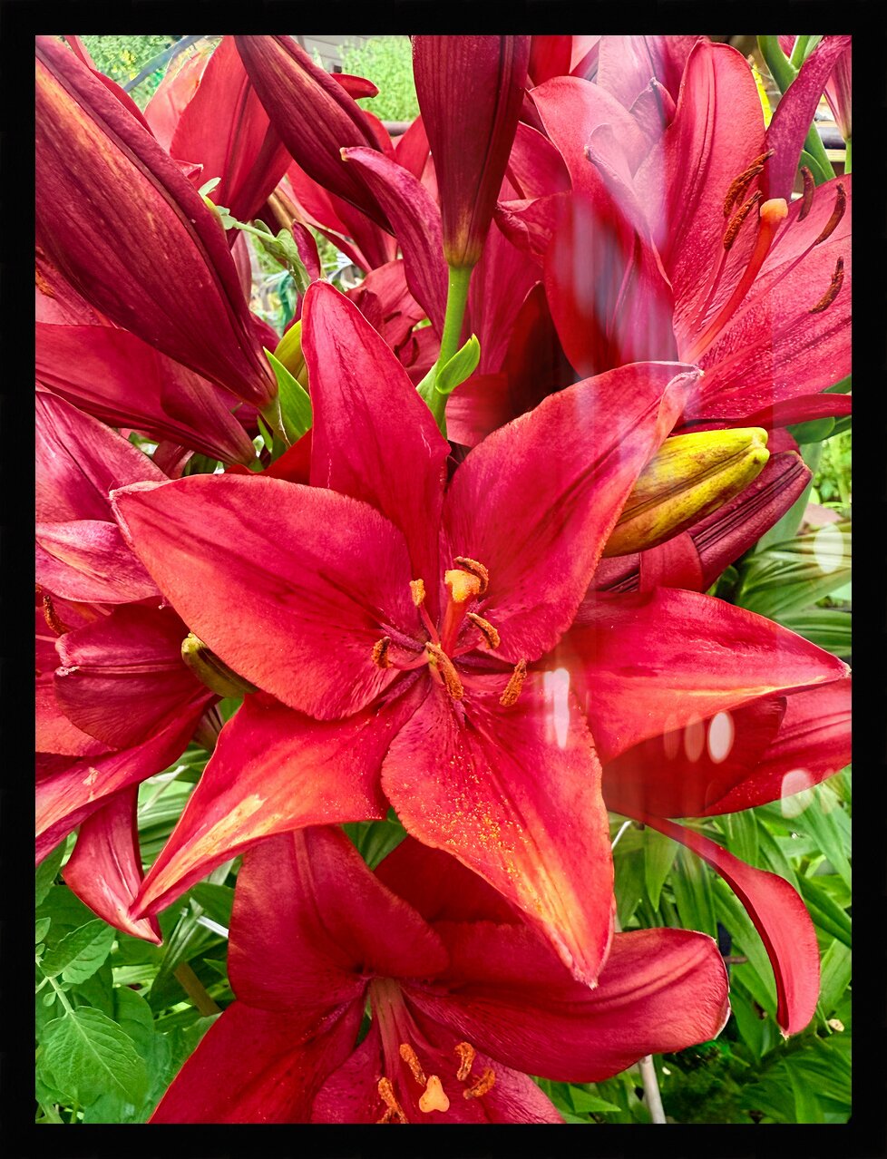 Impression de cadre personnalisé